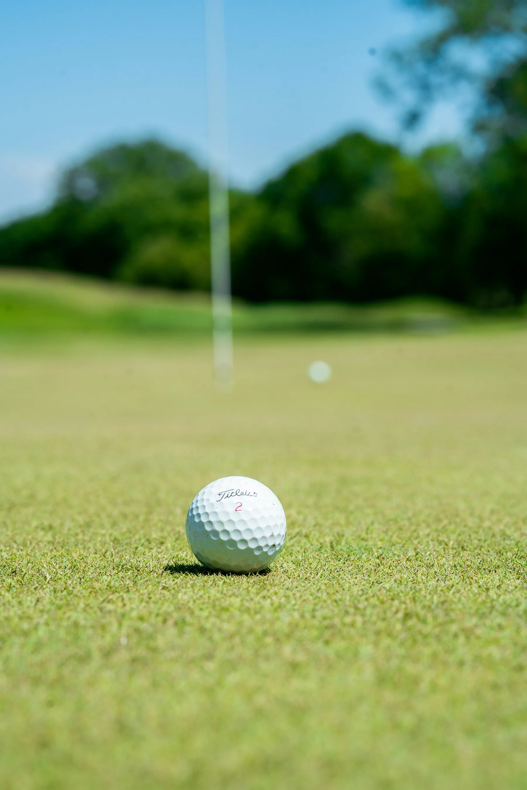 A golf ball on a putting green