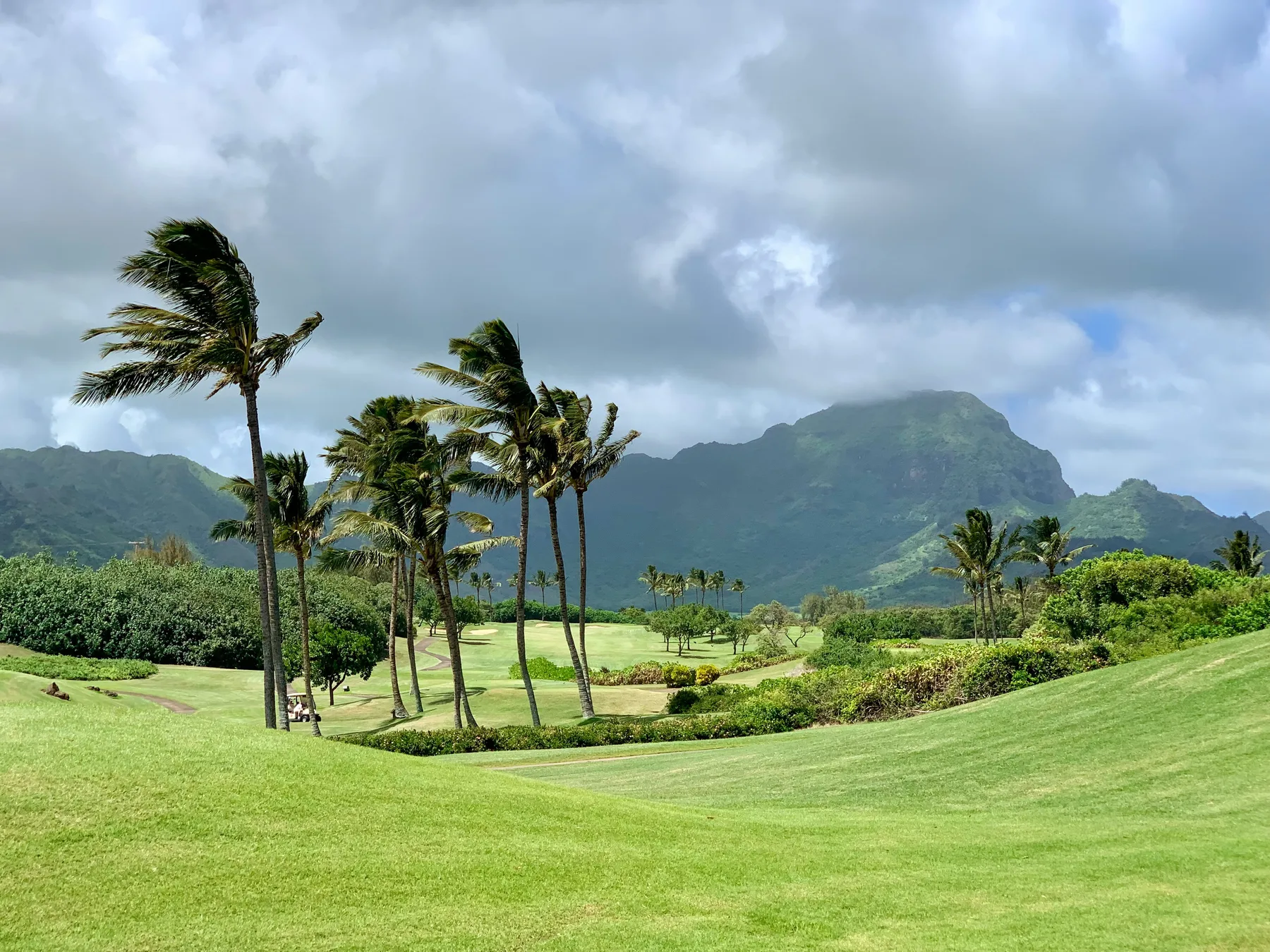 A green golf course on Kauaʻi